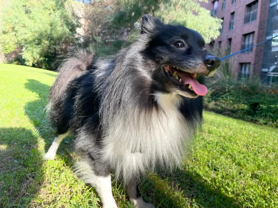 Fred